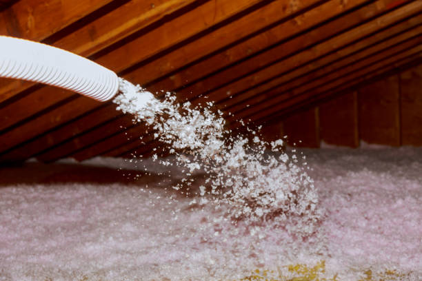 Best DIY Insulation Kits and Guidance in London, KY